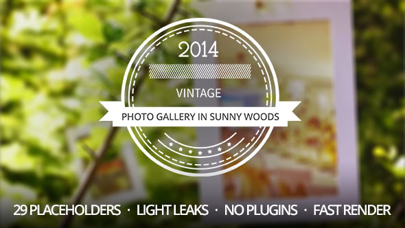 Photo Gallery in Sunny Woods Photo Gallery in Sunny Woods