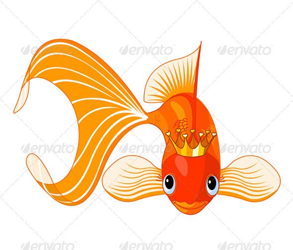 Royal Goldfish Royal Goldfish