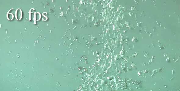 Water Bubbles Water Bubbles