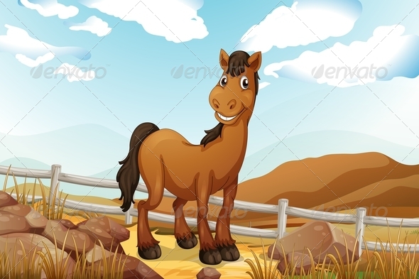 Horse near Fence Horse near Fence