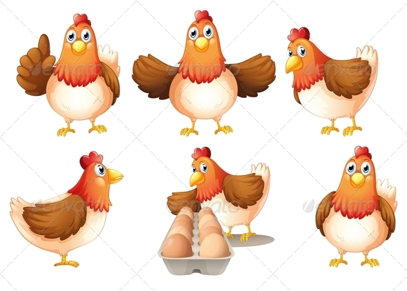 GraphicRiver A Group of Fat Hens 7988553 GraphicRiver A Group of Fat Hens 7988553