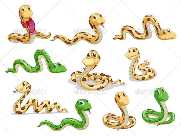 GraphicRiver A Group of Voluptous Snakes 7989391 GraphicRiver A Group of Voluptous Snakes 7989391