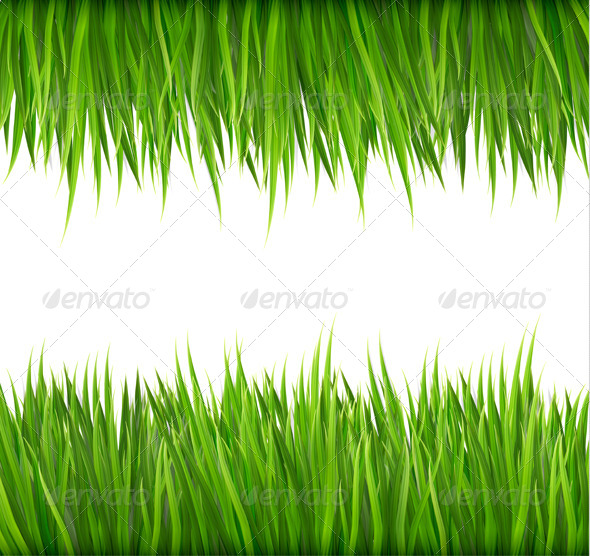 GraphicRiver Nature Background with Green Grass 7994958 GraphicRiver Nature Background with Green Grass 7994958