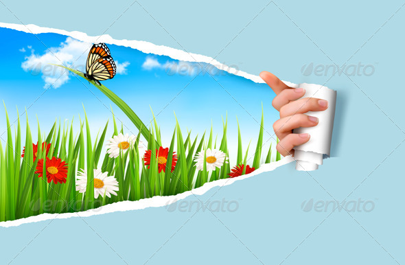 GraphicRiver Summer Background with Flowers Grass and a Ladybug 7994993 GraphicRiver Summer Background with Flowers Grass and a Ladybug 7994993