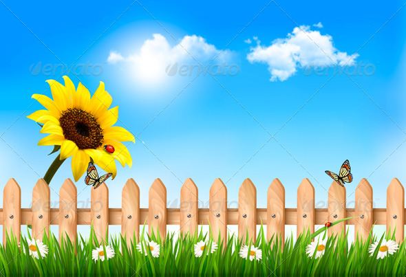 Summer Garden with Sunflower Summer Garden with Sunflower