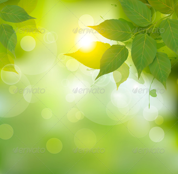 GraphicRiver Nature Background with Green Spring Leaves 7995009 GraphicRiver Nature Background with Green Spring Leaves 7995009
