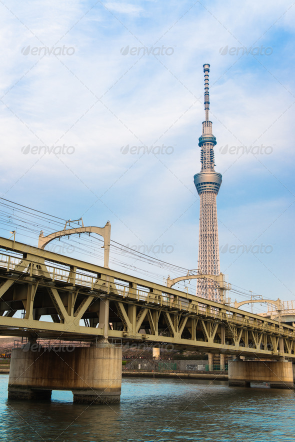 Tokyo city and Tokyo skytree at dusk (Misc) Photo Download