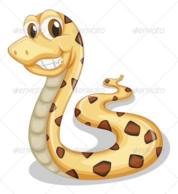 Smiling Snake Smiling Snake