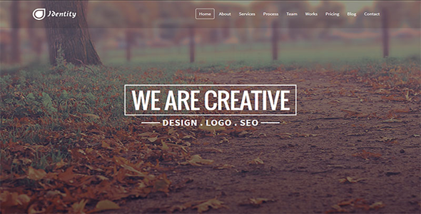 Identity - Responsive Multipurpose Template