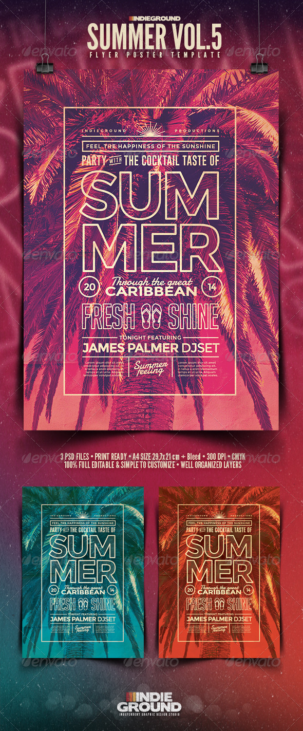 Summer Flyer/Poster Vol. 5 - Events Flyers