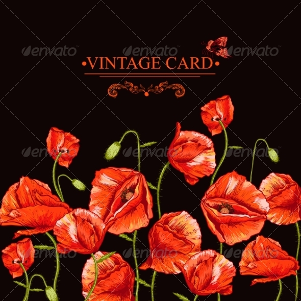 Bunch of Red Poppy Illustration Bunch of Red Poppy Illustration