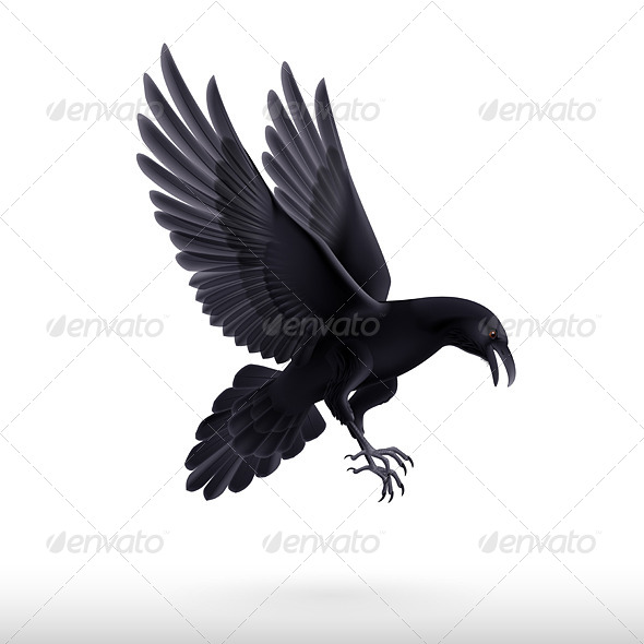 'Graphicriver