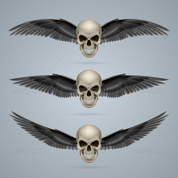 GraphicRiver Three Evil Skulls with Wings 8050622 GraphicRiver Three Evil Skulls with Wings 8050622