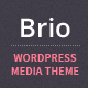 Brio - Media & E-Commerce WordPress Theme - ThemeForest Item for Sale