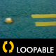 Floating Seagull HD Loop - 79