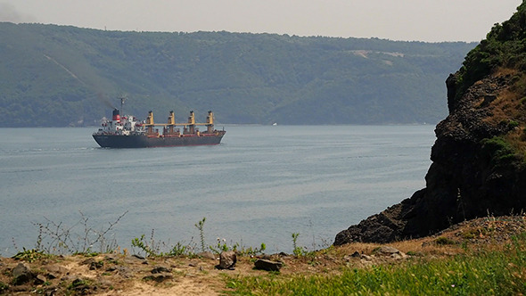 Trade Ship and The Istanbul Bosphorus Trade Ship and The Istanbul Bosphorus