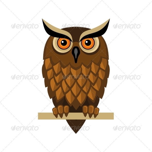 GraphicRiver Owl Isolated on White 8085105 GraphicRiver Owl Isolated on White 8085105