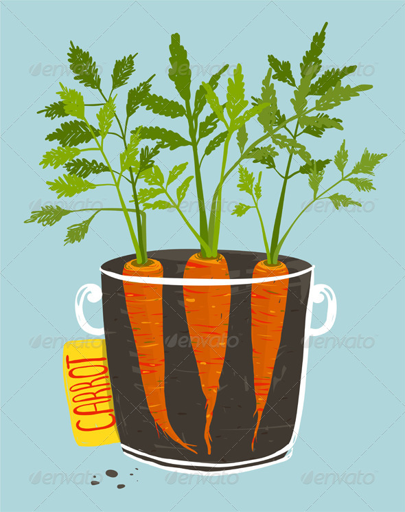 GraphicRiver Growing Carrots with Green Leafy Top in Mug 8085128 GraphicRiver Growing Carrots with Green Leafy Top in Mug 8085128