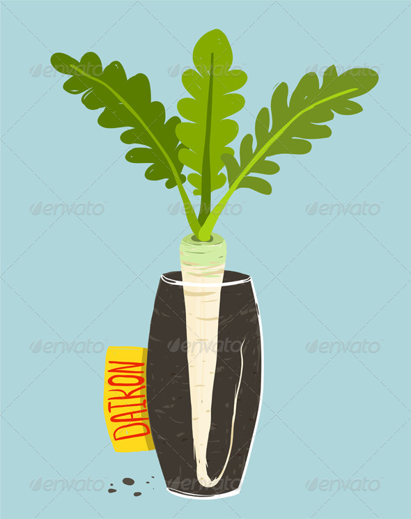 GraphicRiver Growing Daikon Radish with Green Leafy Top 8085144 GraphicRiver Growing Daikon Radish with Green Leafy Top 8085144