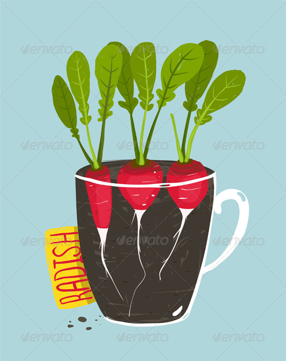 GraphicRiver Growing Radish with Green Leafy Top in Pot 8085206 GraphicRiver Growing Radish with Green Leafy Top in Pot 8085206