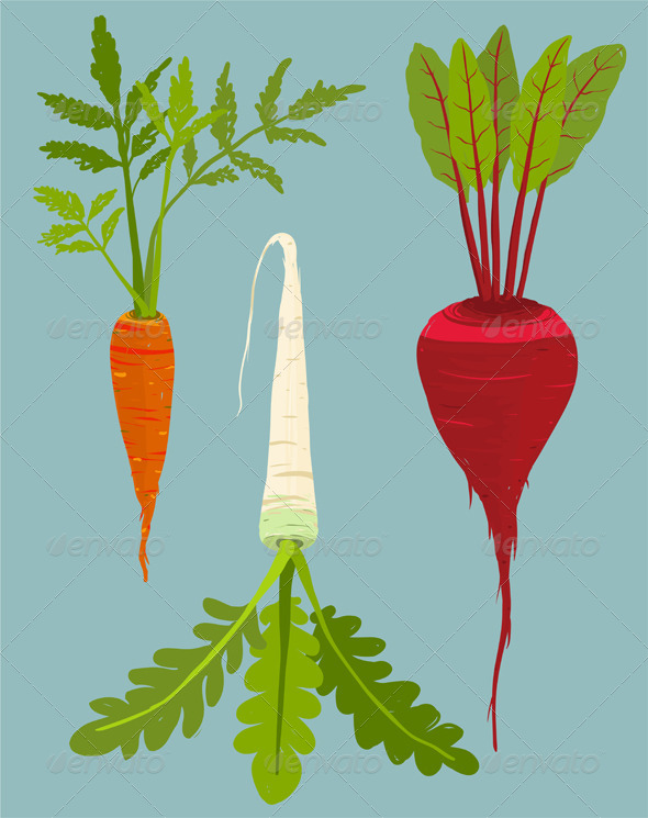 GraphicRiver Growing Root Vegetables Set with Green Leafy Top 8085227 GraphicRiver Growing Root Vegetables Set with Green Leafy Top 8085227