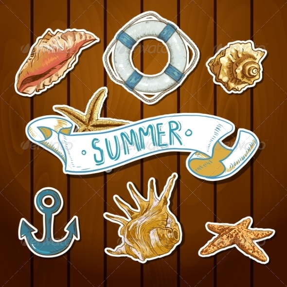 Summer Card with Sea Shells Anchor Lifeline Summer Card with Sea Shells Anchor Lifeline