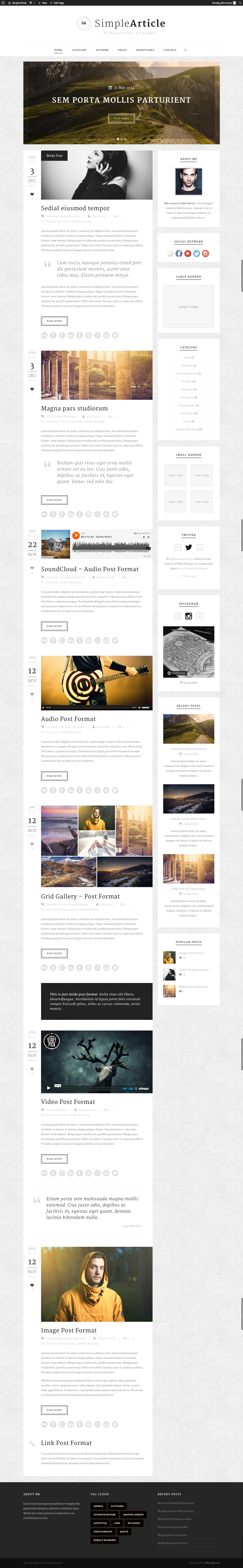 Simple Article - WordPress Theme For Personal Blog - index page with color changed