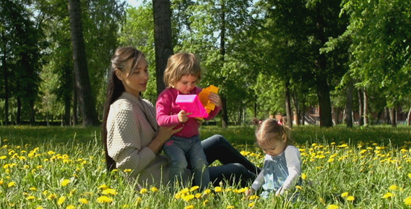 In the Bloom In the Bloom