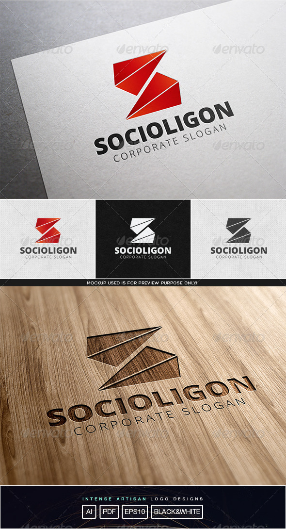 GraphicRiver Socialigon Logo Template 8102940 GraphicRiver Socialigon Logo Template 8102940