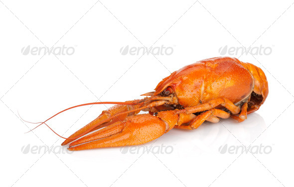 Boiled crayfish (Misc) Photo Download