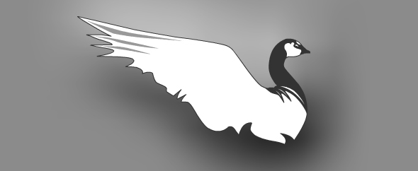 WildGooseStudio