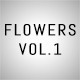 Pro-Room Flowers Vol.1