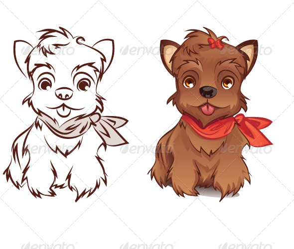 Yorkshire Terrier Yorkshire Terrier