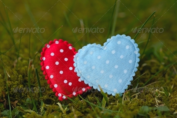 Two hearts in the garden (Misc) Photo Download