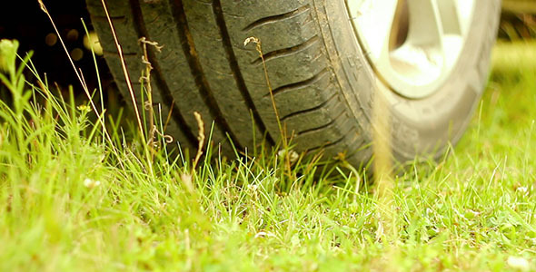 Car On Green Grass 3 Car On Green Grass 3