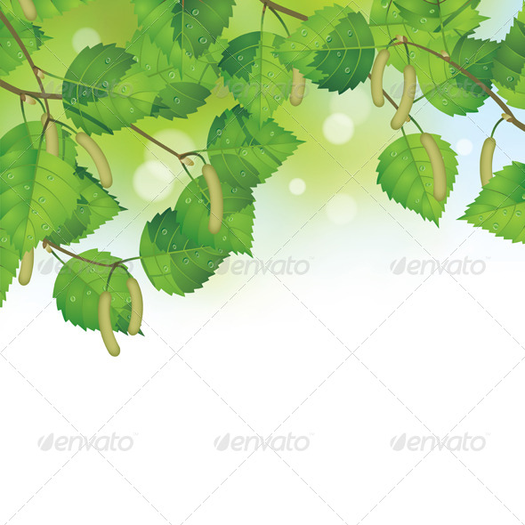 GraphicRiver Birch Leaves Background 8120534 GraphicRiver Birch Leaves Background 8120534