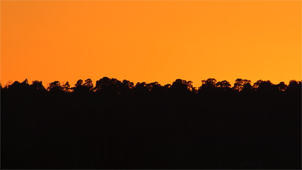 Sunset Behind The Forest Sunset Behind The Forest