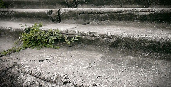 Concrete Stairs Concrete Stairs