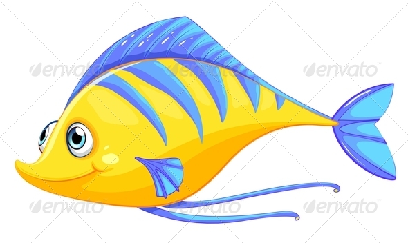A fish A fish