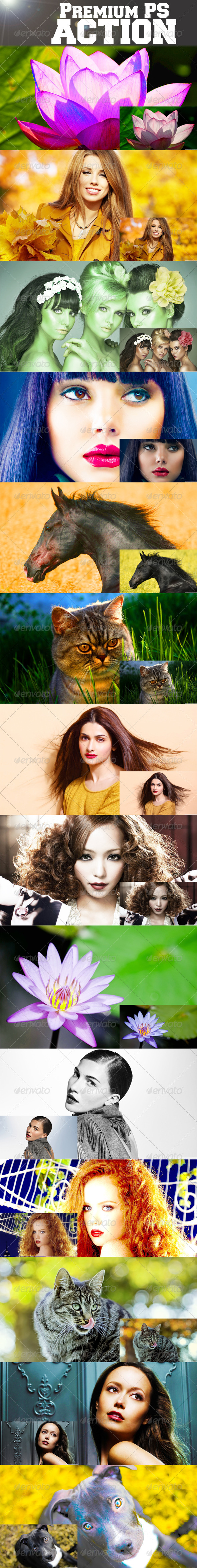 GraphicRiver 14 Premium PS Actions 8132719 GraphicRiver 14 Premium PS Actions 8132719