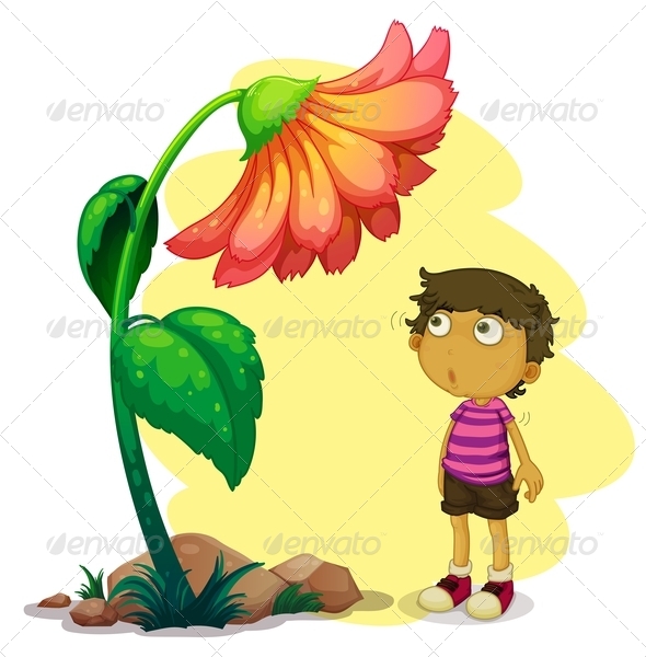 GraphicRiver Boy looking at Flower 8142622 GraphicRiver Boy looking at Flower 8142622