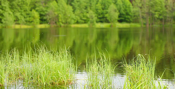 Lake Lake