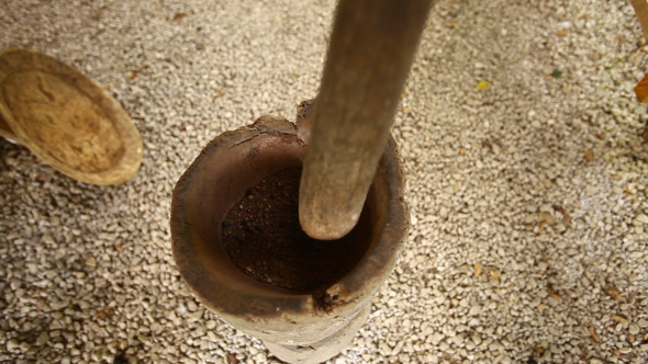 Traditional Process Of Grinding Coffee Beans Traditional Process Of Grinding Coffee Beans