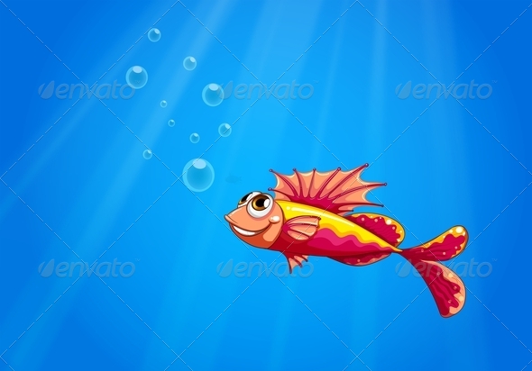 Fish Underwater Fish Underwater