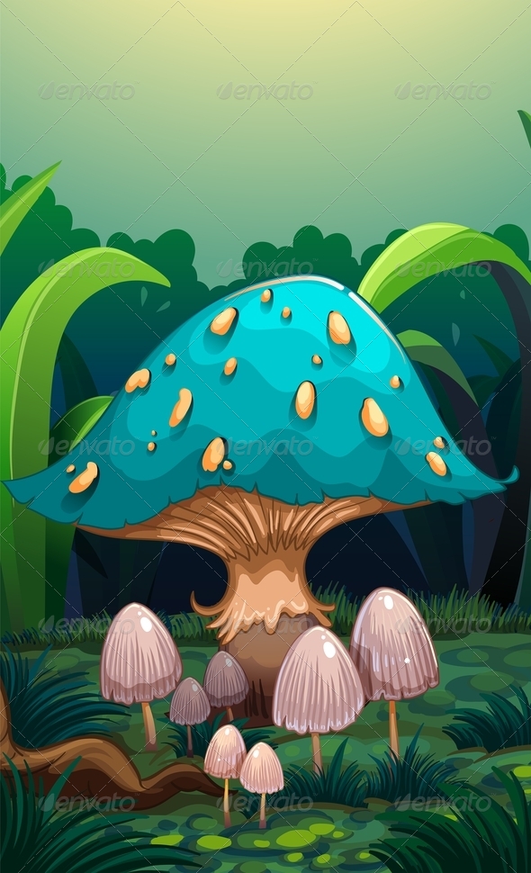 Mushroom Background Mushroom Background