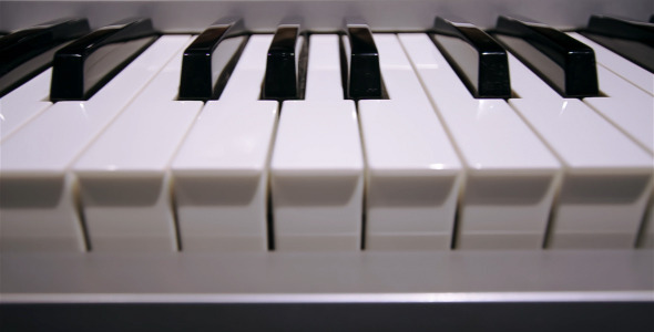 Piano Keyboard Piano Keyboard