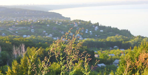Village Near Sea 2 Village Near Sea 2