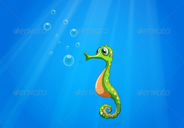 GraphicRiver A Seahorse under the Sea 8163178 GraphicRiver A Seahorse under the Sea 8163178