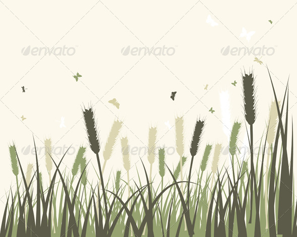GraphicRiver Summer Meadow Background 8163928 GraphicRiver Summer Meadow Background 8163928