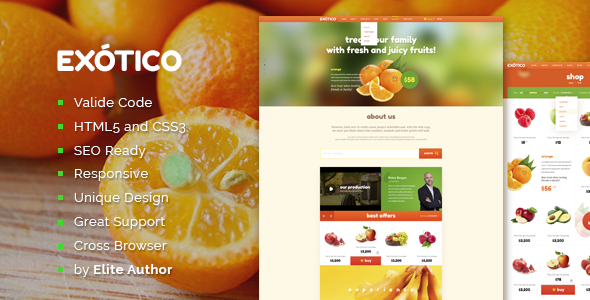 Exotico Responsive HTML Template